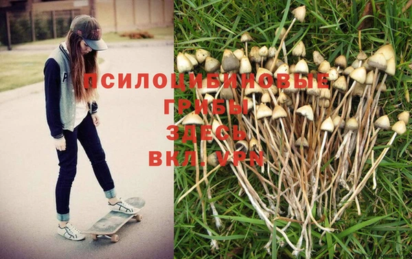 соль ск Михайловка