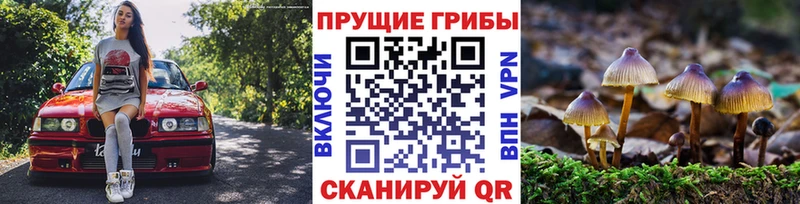цены наркотик  Благовещенск  Псилоцибиновые грибы Cubensis 